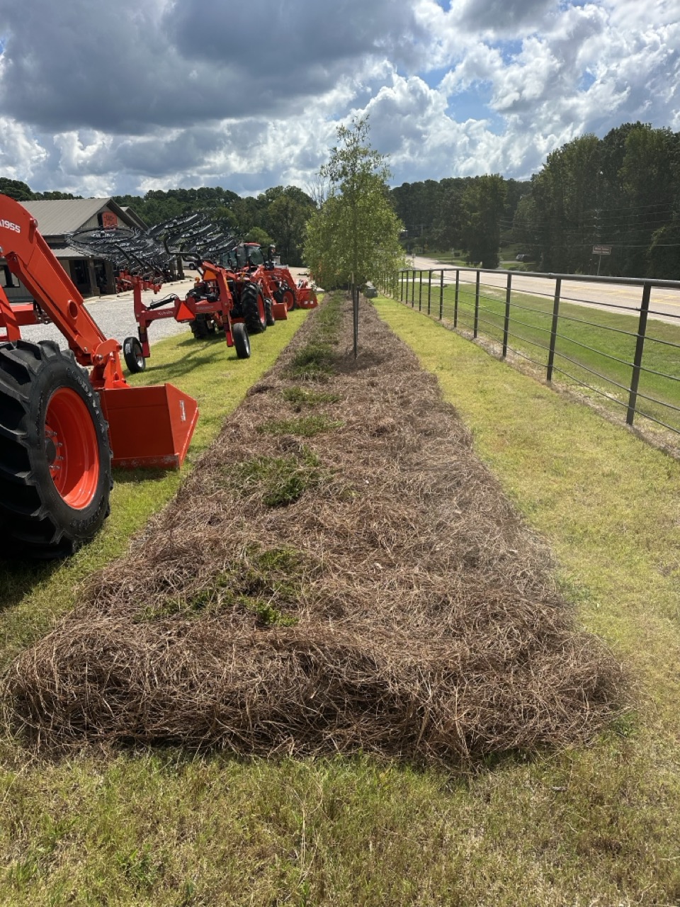 Transform Your Beds and Boost Curb Appeal – All in One Service